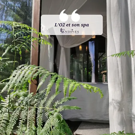 Alojamento de Turismo Selvagem L'o2 Et Son Spa, De Verre Et De Bois Origne (Gironde)