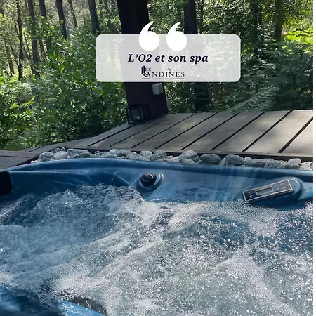 L'o2 Et Son Spa, De Verre Et De Bois